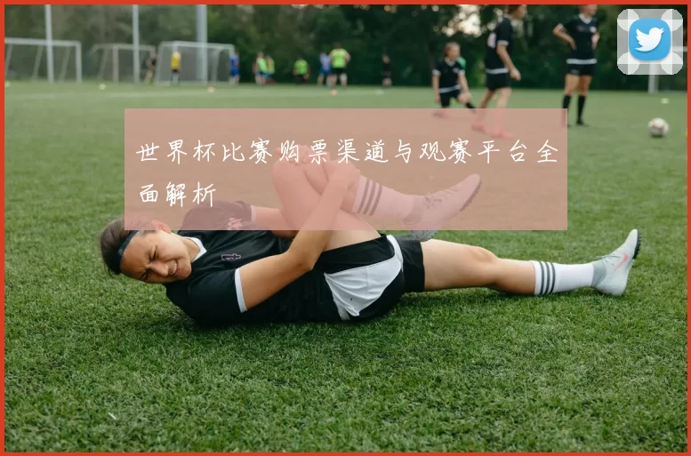 世界杯比赛购票渠道与观赛平台全面解析