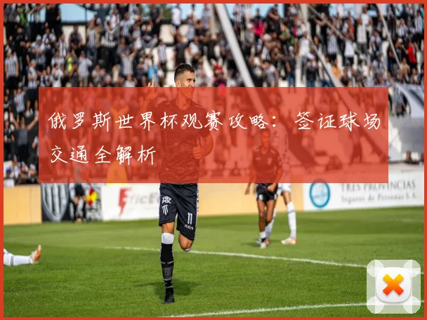 俄罗斯世界杯观赛攻略：签证球场交通全解析