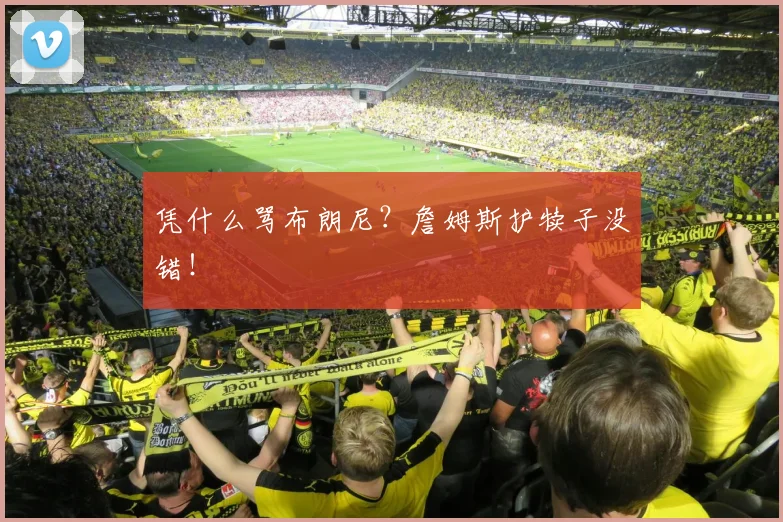凭什么骂布朗尼?詹姆斯护犊子没错!